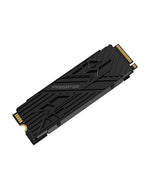 Acer Predator GM7000 Heatsink 2TB SSD PCIe Gen4x4 NVMe M.2 Internal Gaming Solid State Drive