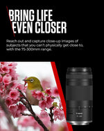Canon RF 75-300mm F4-5.6 Telephoto Zoom Lens for Canon EOS R Black