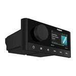 Garmin MS-RA210, Marine Entertainment System